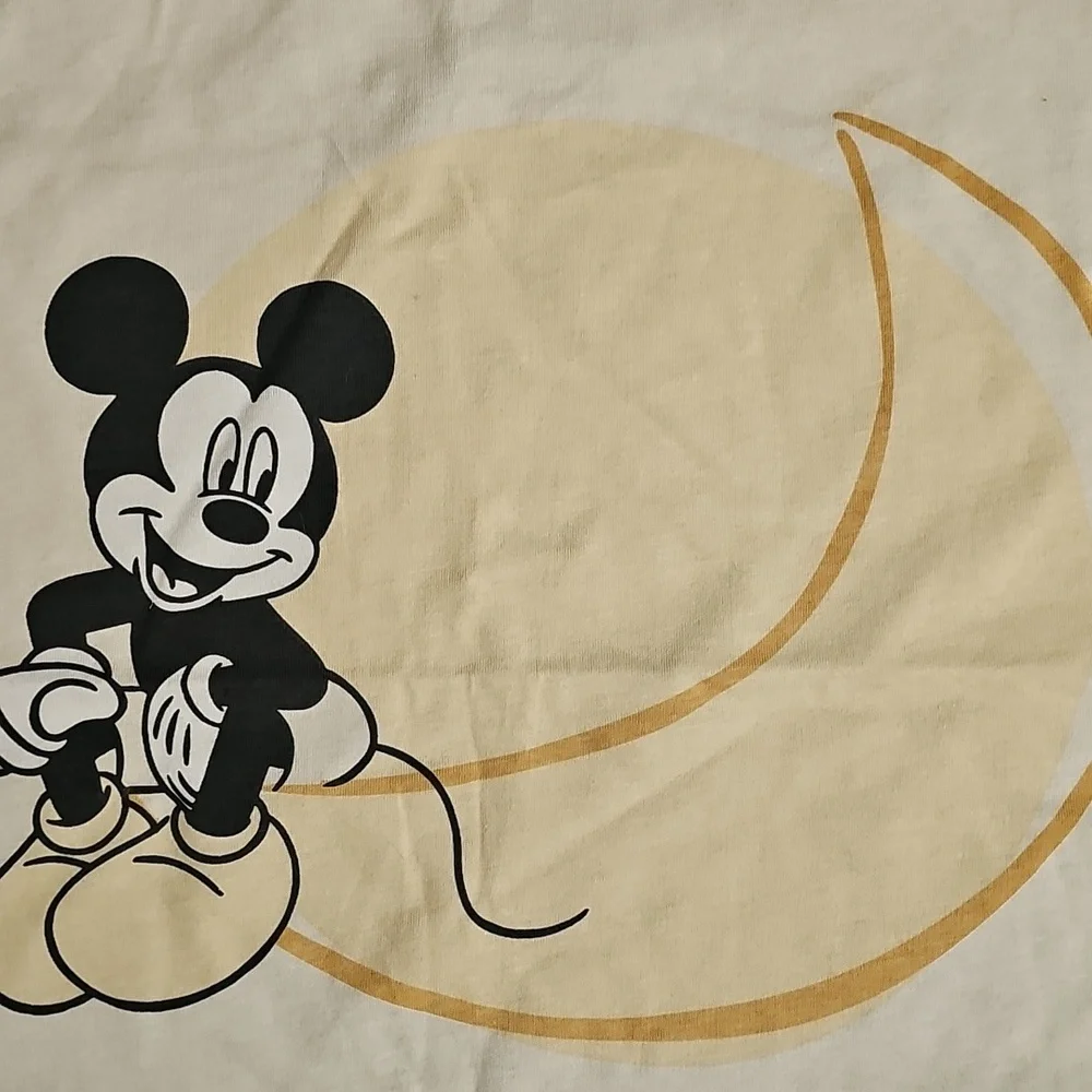Disney Milestones Blanket - Great Used Condition - Very Clean, 30 x 40. - Picture 5 of 11